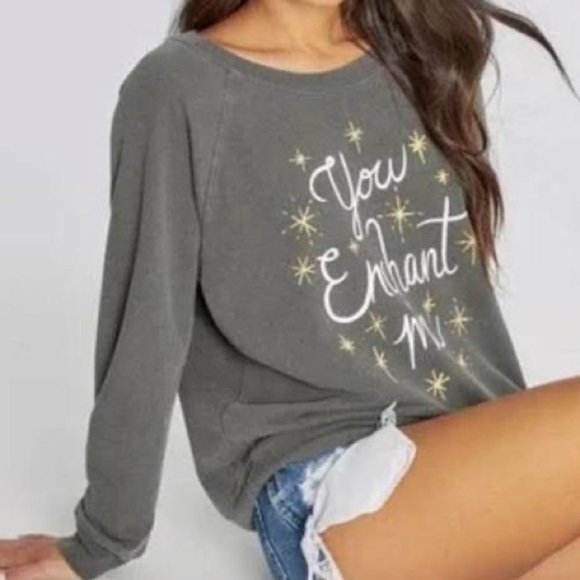 Wildfox You Enchant Me gray sweatshirt sweater size S NWT - Picture 10 of 10